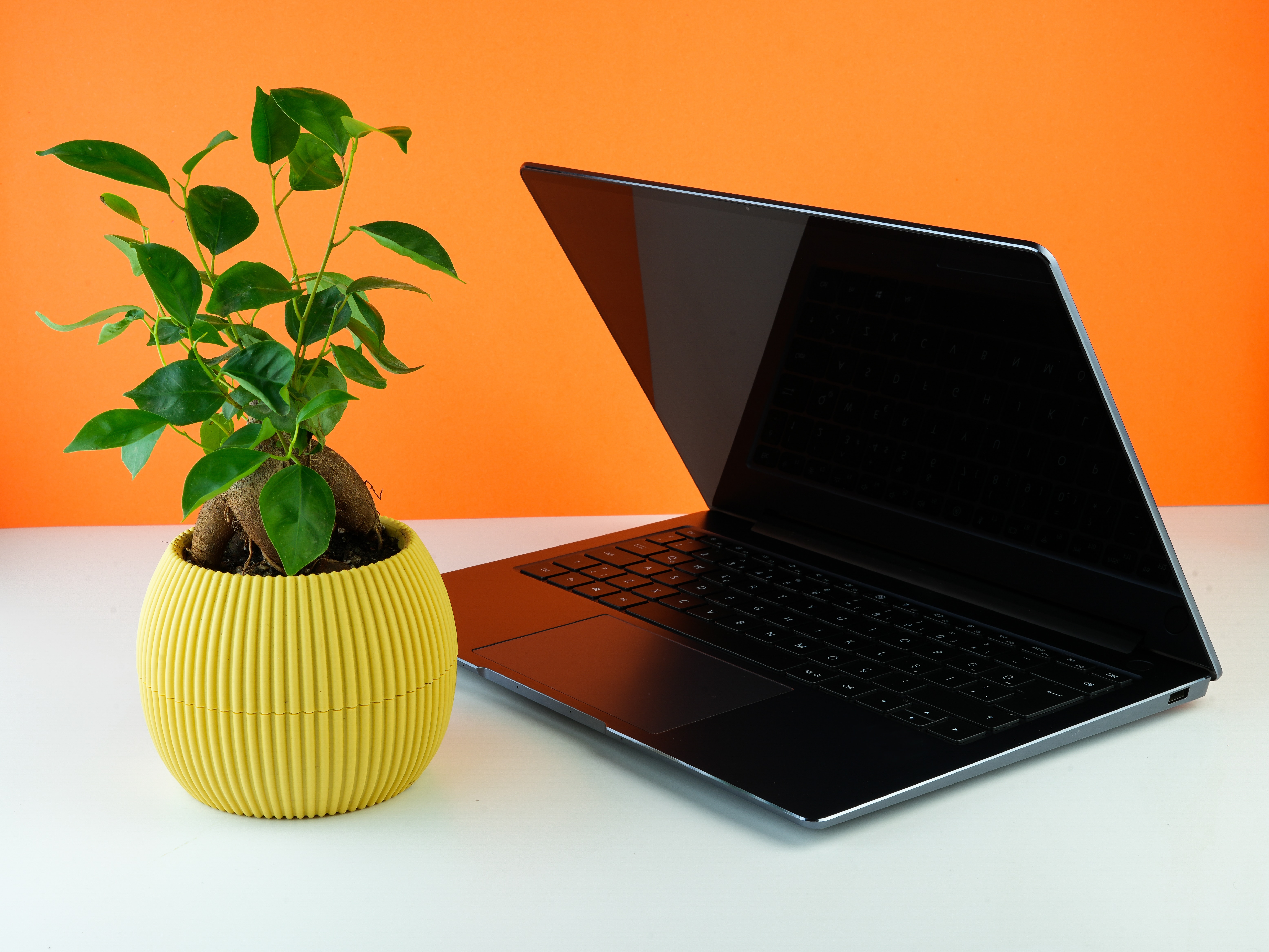 yunus-tug-IqBY9blj8Ks-unsplash - Flower Press Interactive