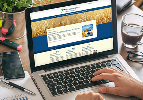 Person browsing the World Perspectives website on a laptop at a desk, with a coffee mug, plant, and notebook nearby.