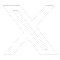Social icon